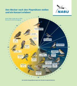 NABU-Aktion: Wir zählen Gartenvögel