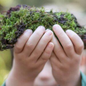 Wiesen und Waldspiele Kita-Kids