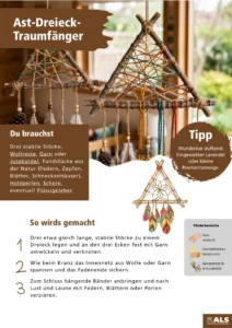 Ast Dreieck Traumfaenger