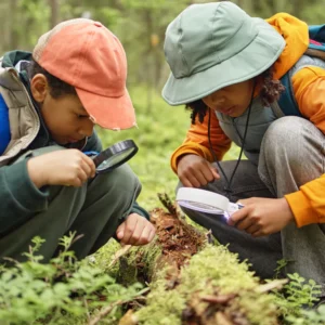 Waldbaden und Achtsamkeit – Warum der Wald uns so guttut 11 Lernen in der Natur 2