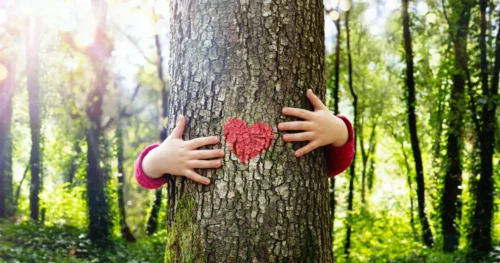 Waldbaden und Achtsamkeit – Ein Kind umarmt einen Baum