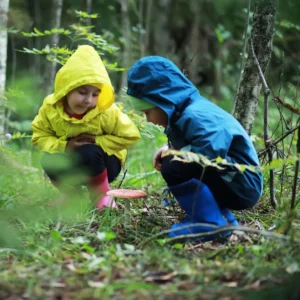 Waldbaden und Achtsamkeit – Warum der Wald uns so guttut 10 bei jedem Wetter