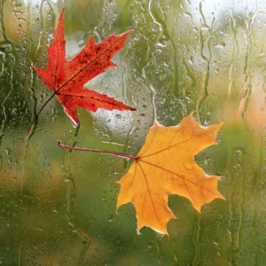 Herbst