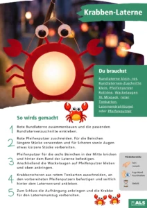 Krabbe Blog NEU
