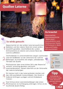 Qualle Blog