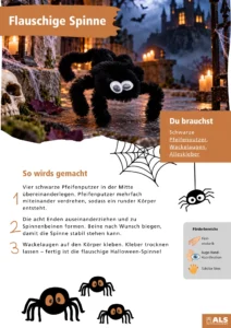 Flauschige Spinne 1
