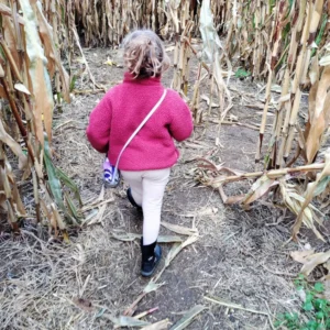 Maislabyrinth
