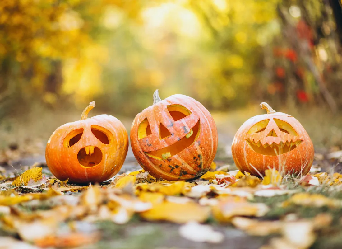Slider Halloween