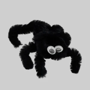 Spinne 1