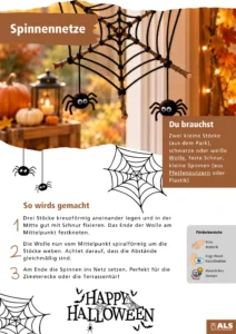 Spinnennetz 2