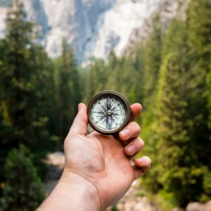 Einfach erklärt: Woher wissen Zugvögel, wo der Süden ist? 9 Vogel Compass
